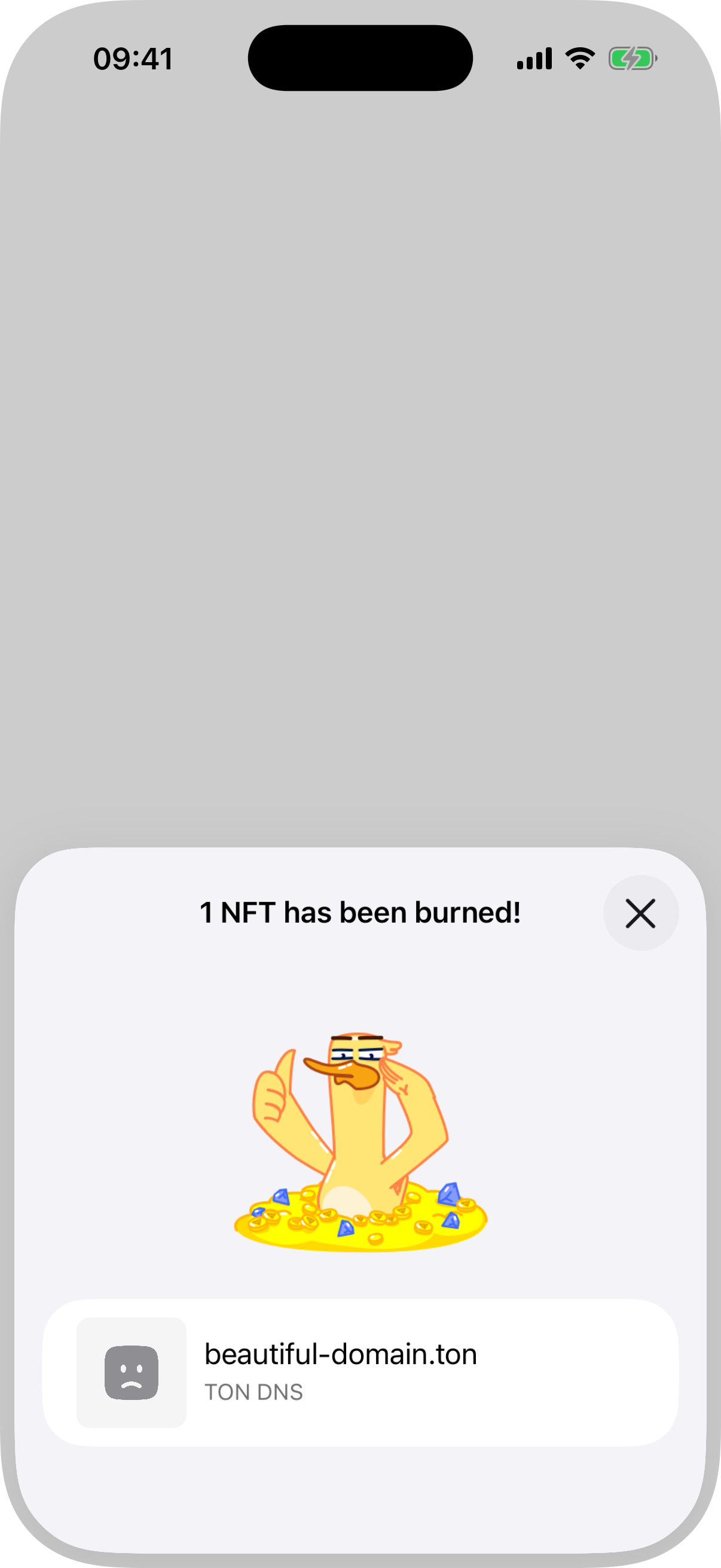burn-nft-single success