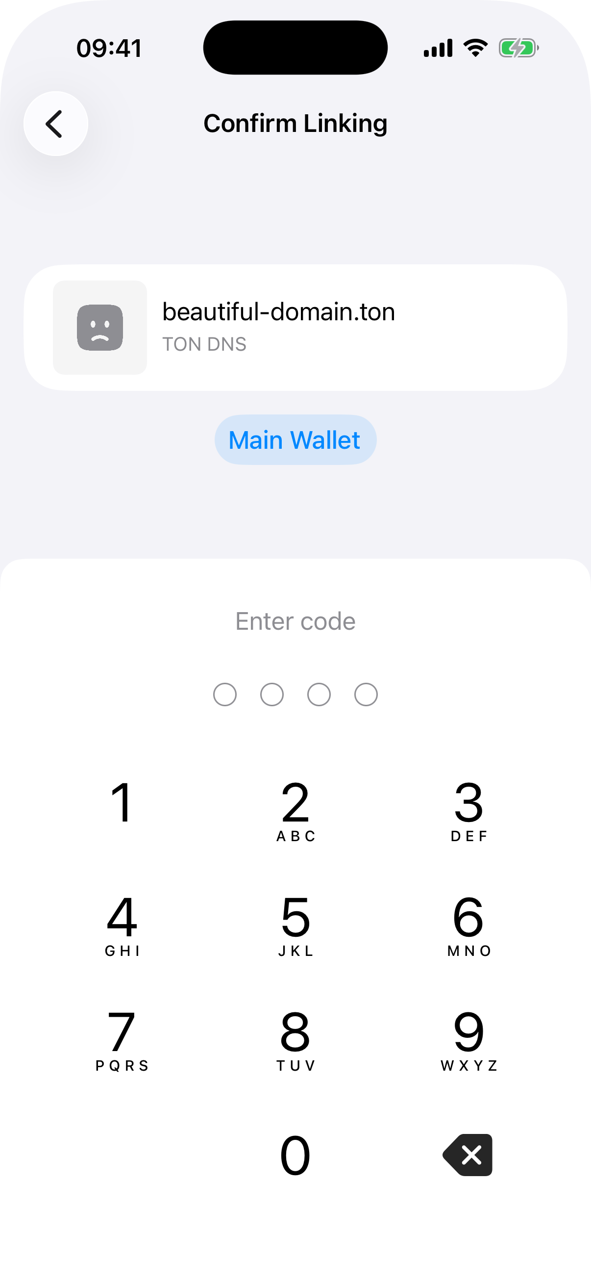 domain-link passcode